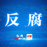 株洲市云龙发展投资控股集团有限公司原董事长助理王智被查