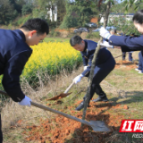 攸县税务：三月植树正当时 “税务蓝”映“春山绿”