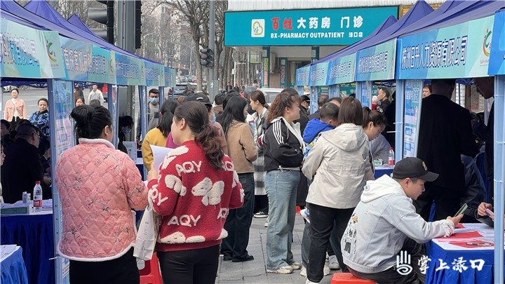 株洲市渌口区举办“春风行动·百企万岗”招聘会