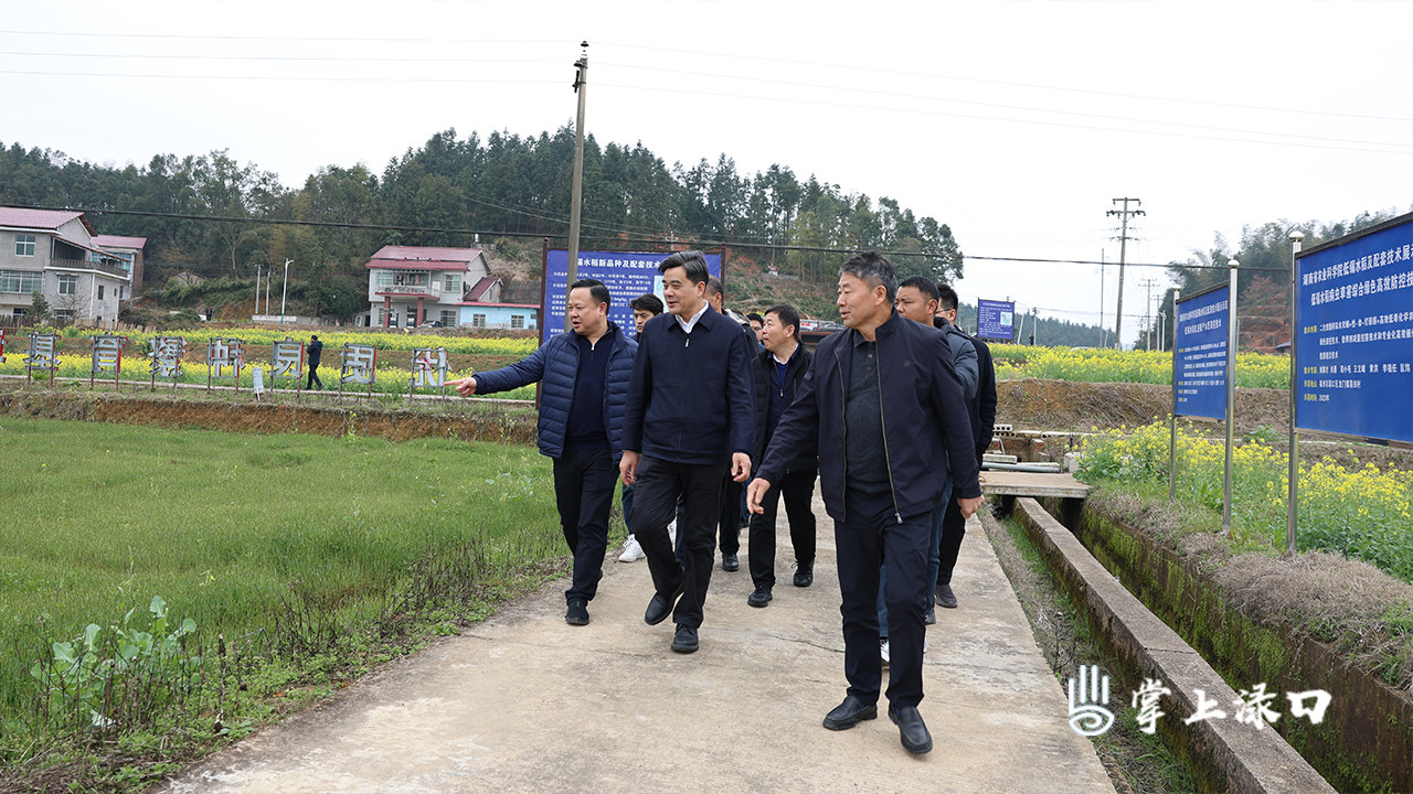 依托院士基地 渌口区将创建全域水稻安全生产示范区