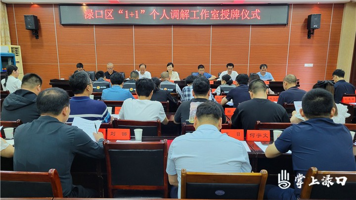 渌口区举行“1+1”个人特色调解工作室授牌仪式