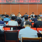 渌口区举行“1+1”个人特色调解工作室授牌仪式