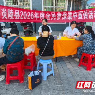炎陵县举办城乡居民基本医疗保险全民参保集中宣传活动
