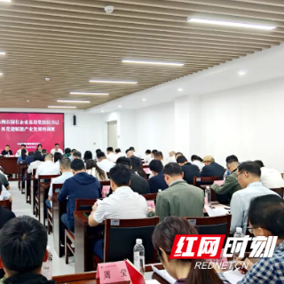 株洲市举办国有企业基层党组织书记抓党建赋能产业发展培训班