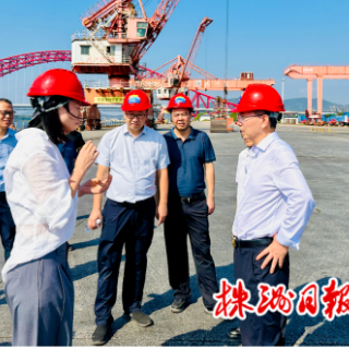 株洲市委副书记、市长陈恢清到清水塘片区调研