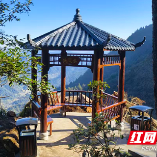 炎陵县鹿原镇金紫峰村书写悬崖上的乡村振兴答卷