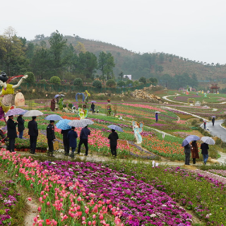 茶陵县：聚力建强村干部队伍 筑牢乡村振兴组织根基