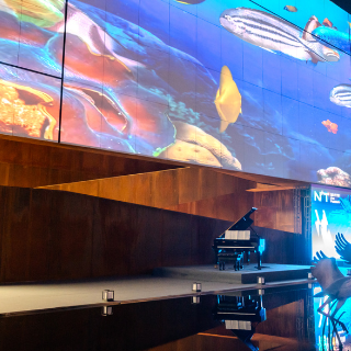 株洲市石峰区发布生态环境保护典型案例