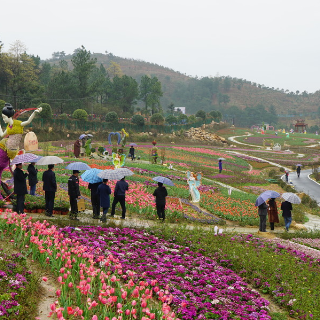 茶陵县：“屋场夜话”三部曲 奏响基层治理新乐