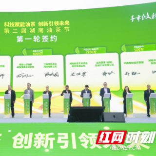 大科技助力小茶果 攸县油茶香飘世界