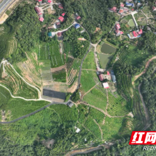 株洲市渌口区：念好“三字经”，资金提效能