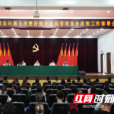 株洲市石峰区：全力推进医保基金专项整治 提升管理服务质效