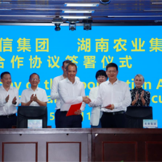 中法合作生猪养殖加工项目落户渌口区