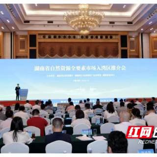 株洲市自然资源全要素走进湾区推介