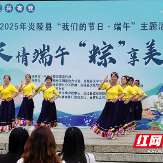 炎陵县举办“浓情端午‘粽’享美好”主题活动