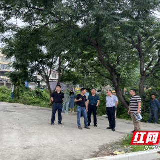 炎陵县霞阳镇人大代表架起“连心桥” 助力湘山变电站线路建设提速