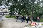 炎陵县霞阳镇人大代表架起“连心桥” 助力湘山变电站线路建设提速