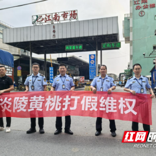 炎陵县多部门联合广州白云区市场监督管理局开展炎陵黄桃跨省协同打假维权行动
