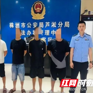 6人被抓，芦淞公安打掉一“手机口”诈骗团伙