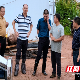 株洲农业农村局为茶陵县舲舫乡祠湾村养鹅产业把脉问诊