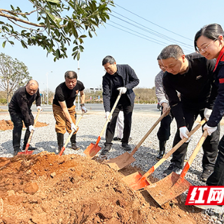 “小公园”书写“大文章” 株洲微公园建设与“三认”模式获全国推广