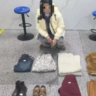 为"穿名牌回老家"炫富 女子连续盗窃8件衣物被株洲警方抓获