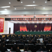 中共株洲市石峰区委六届九次全体（扩大）会议召开