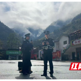 “植”此青绿 藏蓝守护 株洲森林公安筑牢生态安全屏障