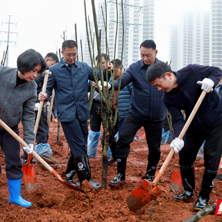 认种认养认管，株洲54家社会组织为城市“植”此青绿