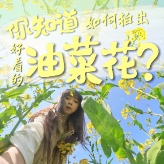视频丨你知道在石峰区如何拍出好看的油菜花？