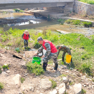 炎陵县霞阳镇开展河道清理专项整治行动