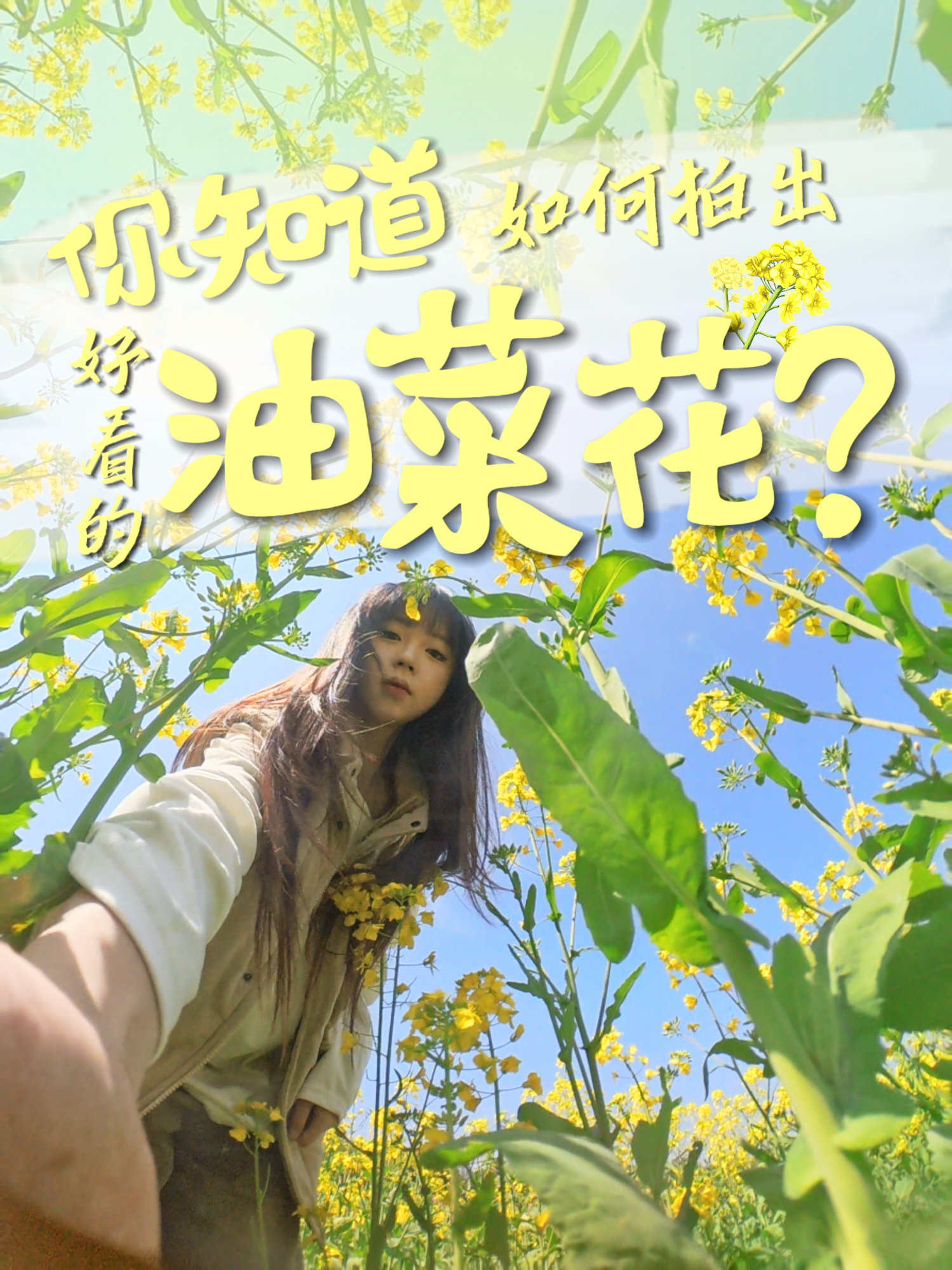 视频丨你知道在石峰区如何拍出好看的油菜花？