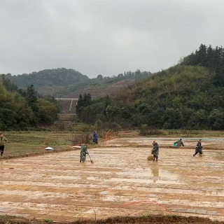 渌口区全力推进春耕生产工作