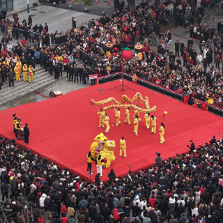 视频丨株洲市渌口区：龙狮齐舞 非遗焕新