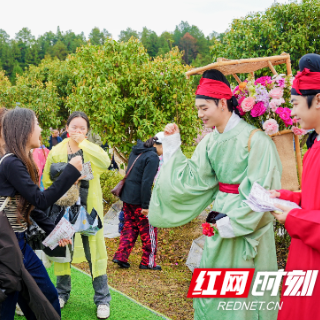 炎陵县万阳红茶旅文化园入选2026全国茶乡旅游精品景点线路‌