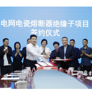 电网电瓷熔断器绝缘子项目落户渌口区