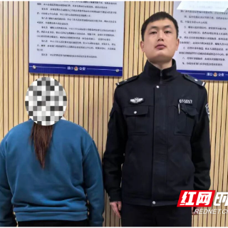 蒙面盗窃电动车 渌口公安速擒嫌疑人