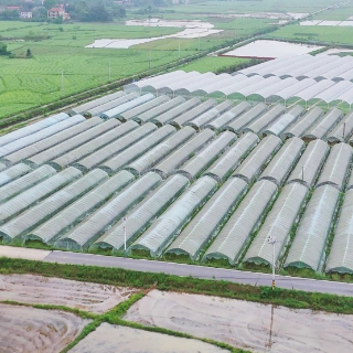 从育秧到收割“一条龙” 渌口区织密现代农业全链条服务网