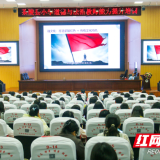 茶陵小学思政教师培训奏响能力提升“交响曲”