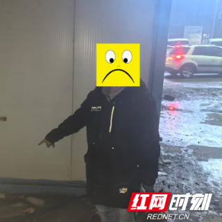 芦淞公安破获工地钢筋盗窃案 惯偷终落法网