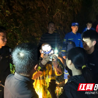 攸县公安联合多方力量找回失联采茶老人