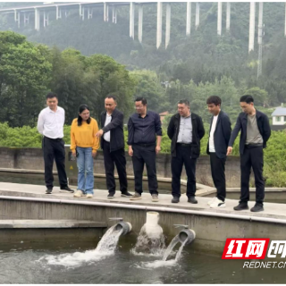 炎陵县中村瑶族乡：做强冷水鱼特色产业，助力农产品“出湘出海”