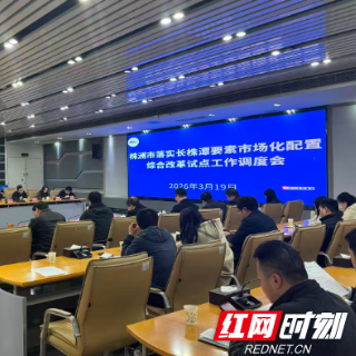 株洲市发展改革委：党建“工笔”，描出发展改革“新愿景”