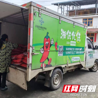 “地头”到“心头”,炎陵县流动供销网铺就山乡致富路