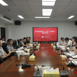 株洲市国资组织召开国企“十五五”发展规划专家评审会