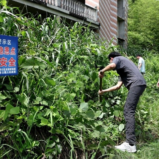 渌口区一旧滑坡隐患加剧 街道、村组日巡两次严密监测