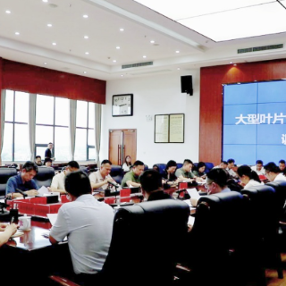 聚焦“超级工厂”建设 渌口区召开大型叶片智能制造基地项目调度会