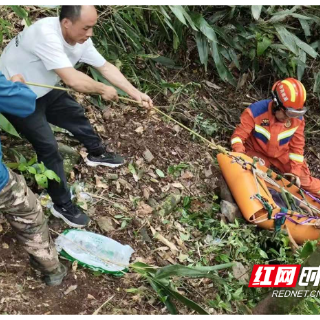炎陵一男子深山采药坠崖,多部门联合奋战8小时救回