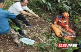 炎陵一男子深山采药坠崖，多部门联合奋战8小时救回