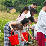 “水西土豆”挖得欢！炎陵水西村亲子农耕体验火热进行中